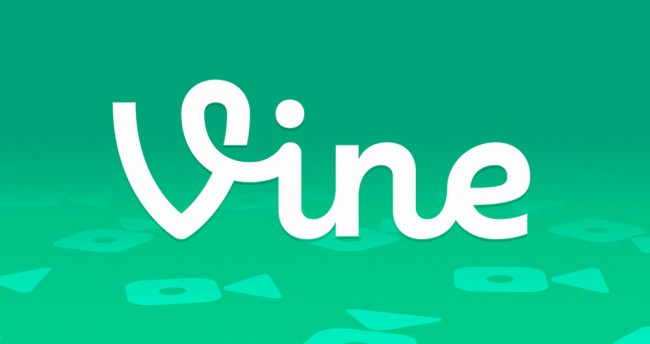 Vine